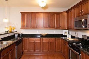 Gourmet kitchens
